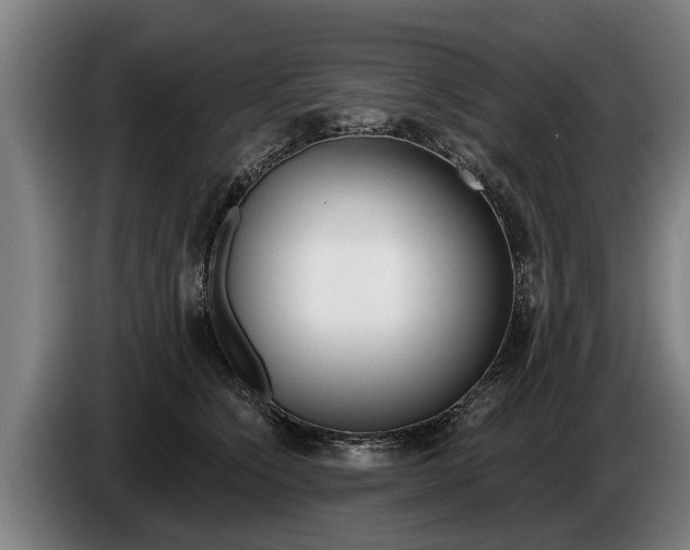 X0000086320564200704202024