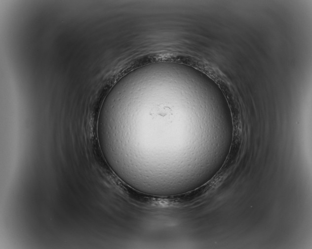 X0000086320565200704202024