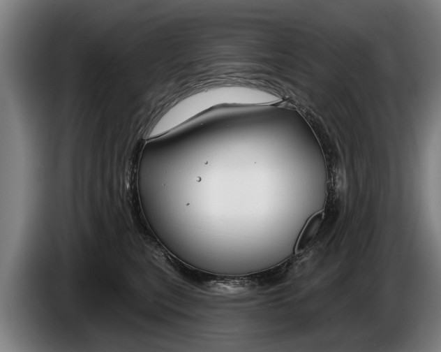 X0000086320567200704202024