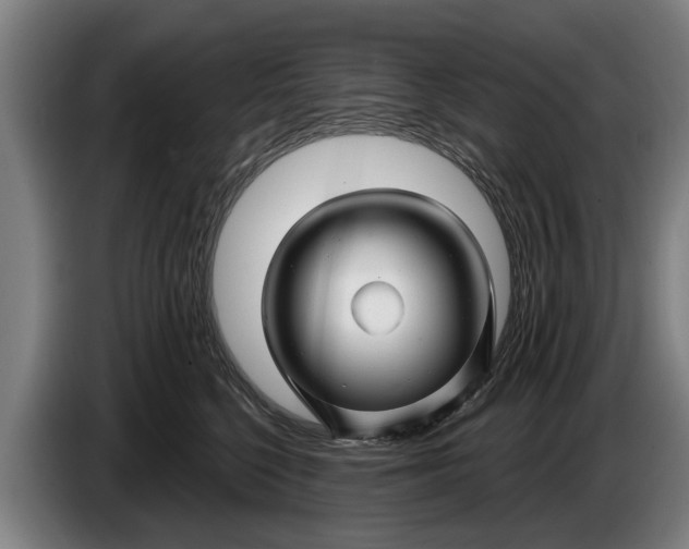 X0000086320568200704202024