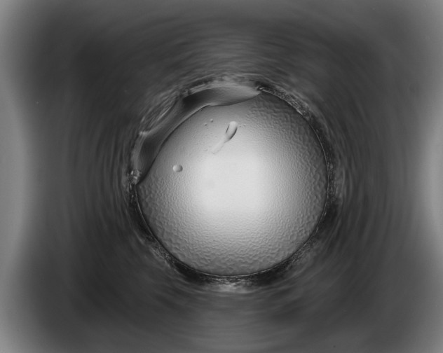 X0000086320569200704202024