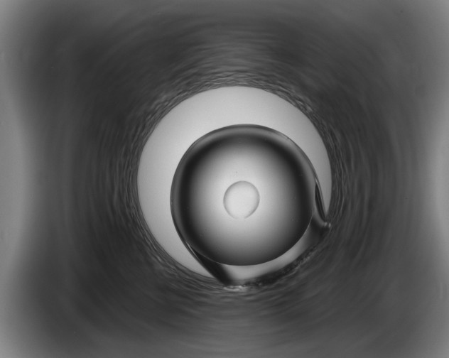 X0000086320570200704202024