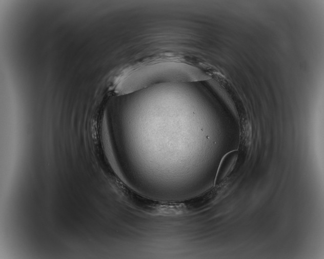 X0000086320571200704202024