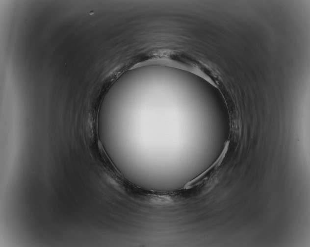 X0000086320572200704202024