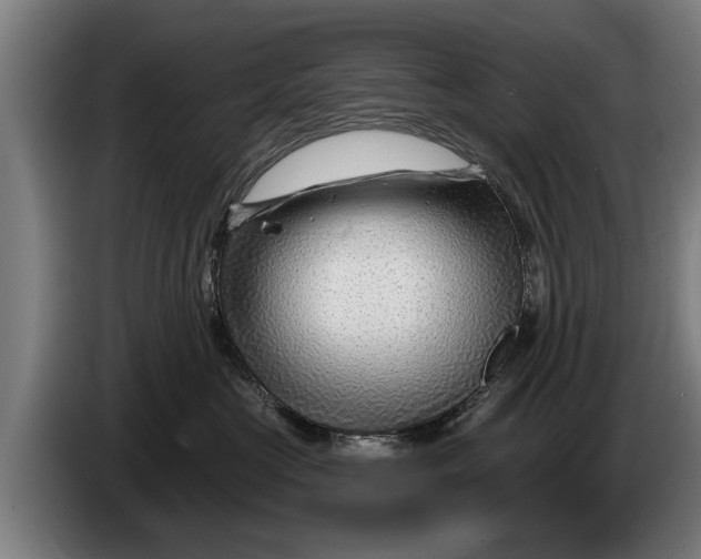 X0000086320573200704202024