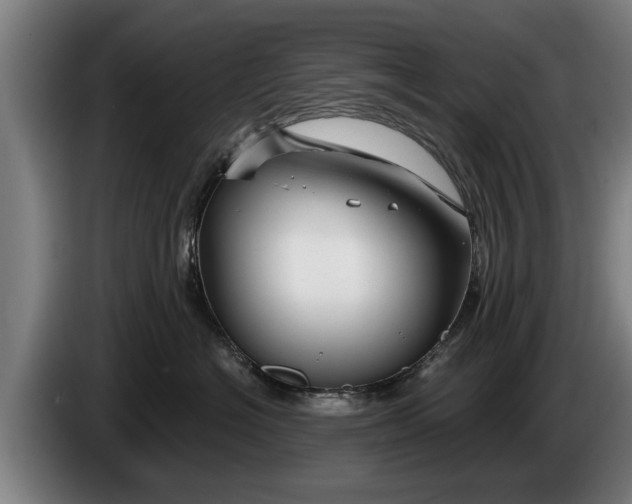 X0000086320574200704202024