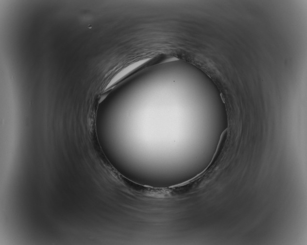 X0000086320576200704202024