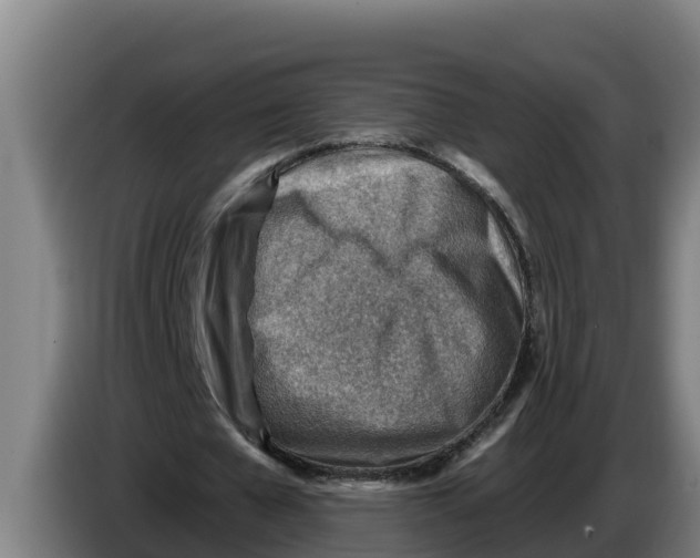 X0000086320577200704202024