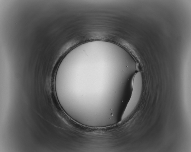 X0000086320578200704202024