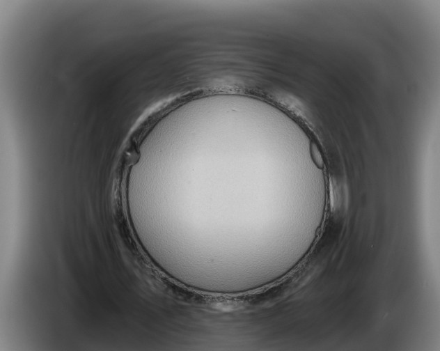 X0000086320579200704202023