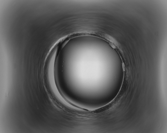 X0000086320580200704202023