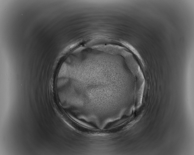 X0000086320581200704202023