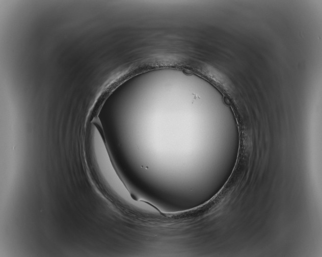 X0000086320582200704202023