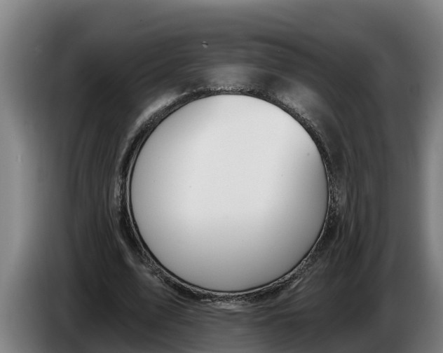 X0000086320583200704202023