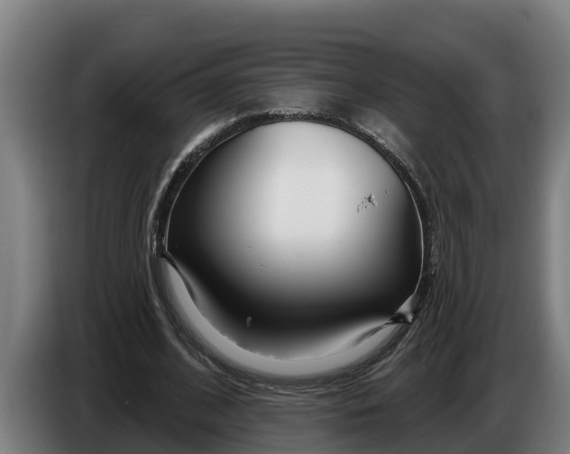 X0000086320584200704202023