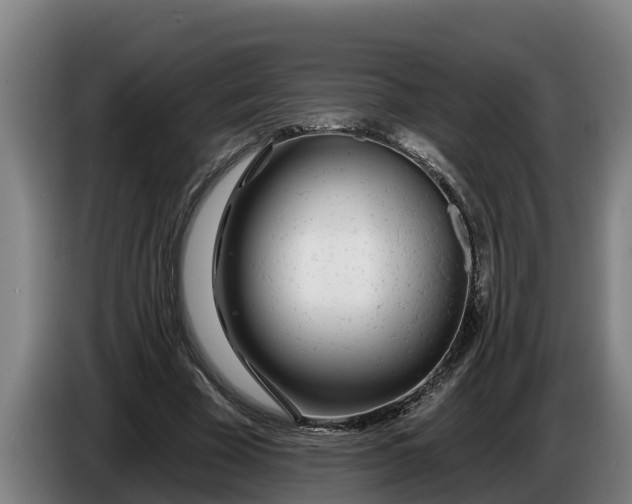 X0000086320585200704202023