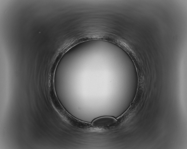 X0000086320586200704202023