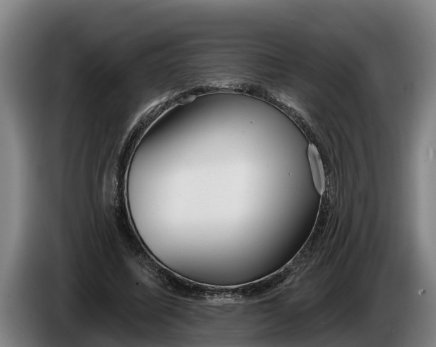 X0000086320587200704202023