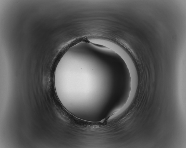 X0000086320588200704202023