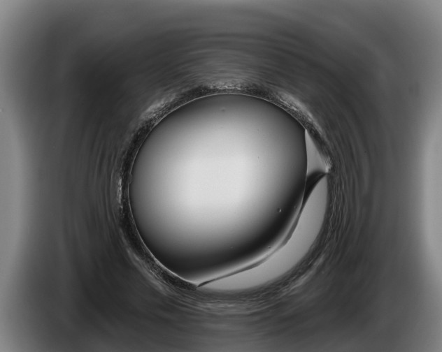 X0000086320589200704202023