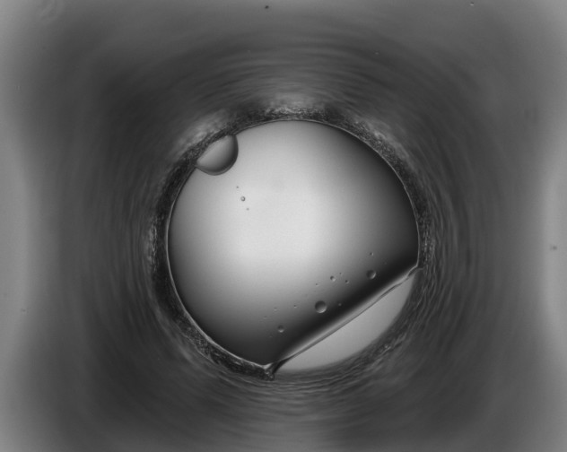 X0000086320591200704202023