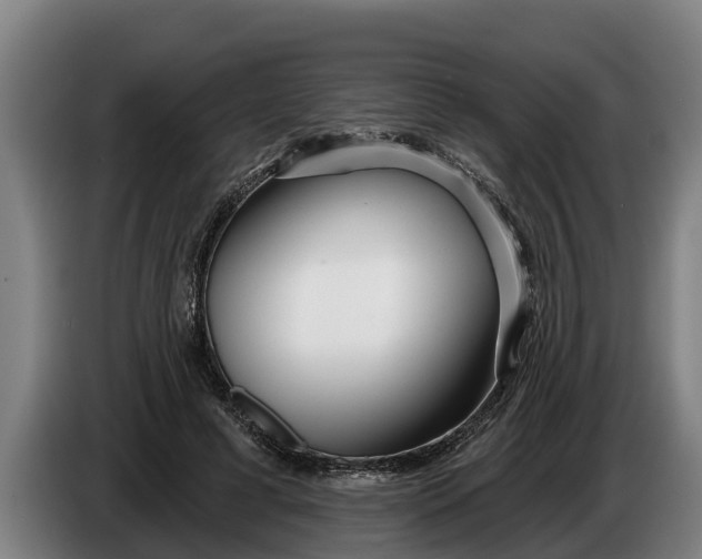 X0000086320593200704202023