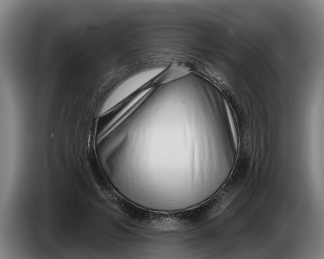 X0000086320594200704202023