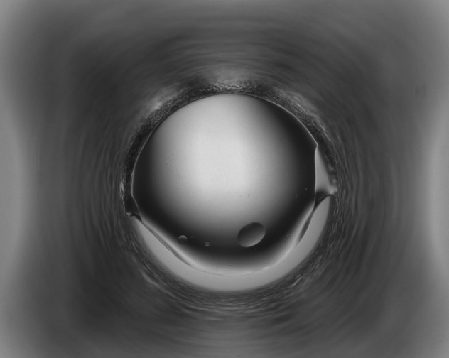 X0000086320596200704202023