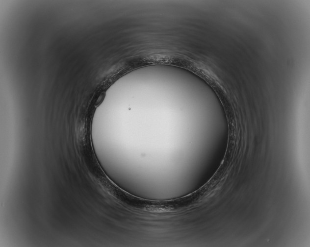 X0000086320597200704202023