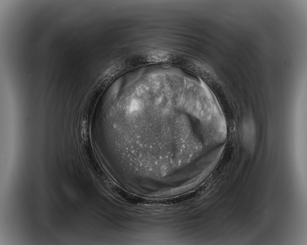 X0000086320598200704202023