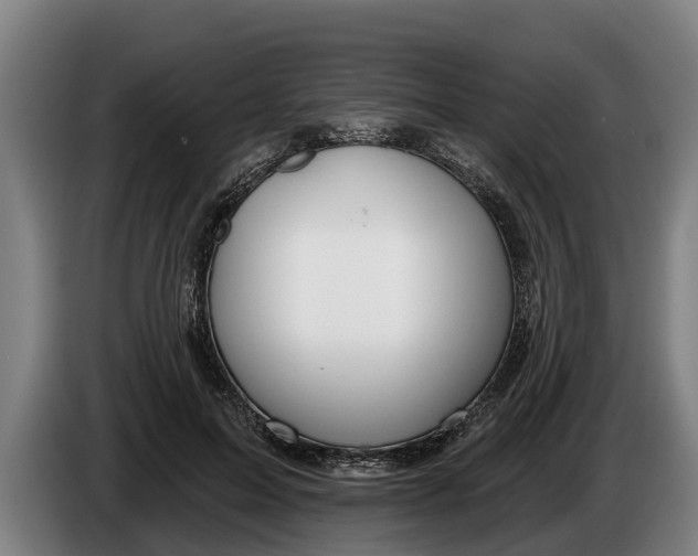 X0000086320599200704202023