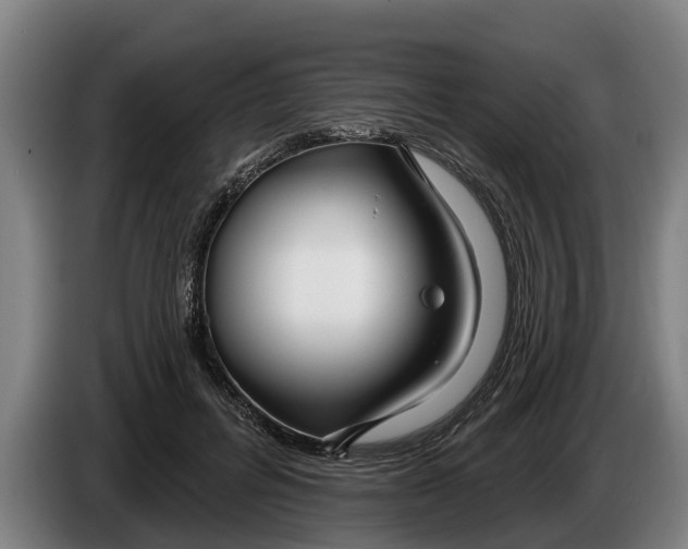 X0000086320600200704202023