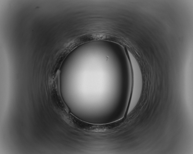 X0000086320601200704202023