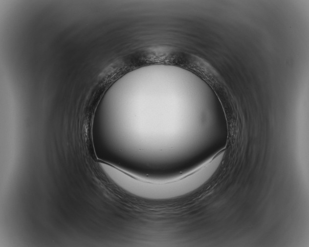 X0000086320602200704202023