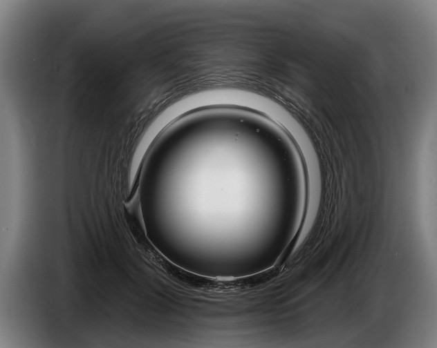 X0000086320604200704202023