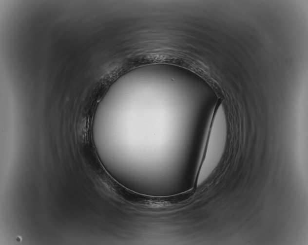 X0000086320605200704202023