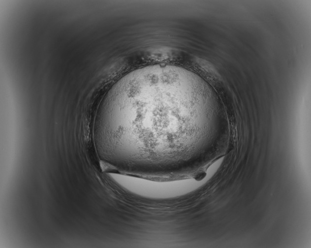 X0000086320606200704202023