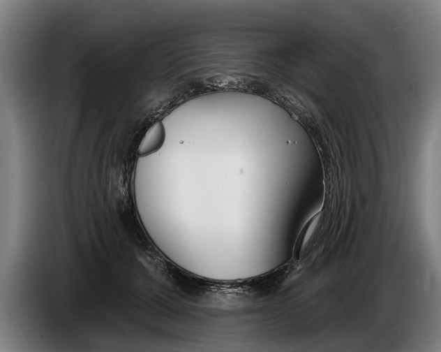 X0000086320607200704202023