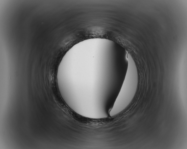 X0000086320608200704202023