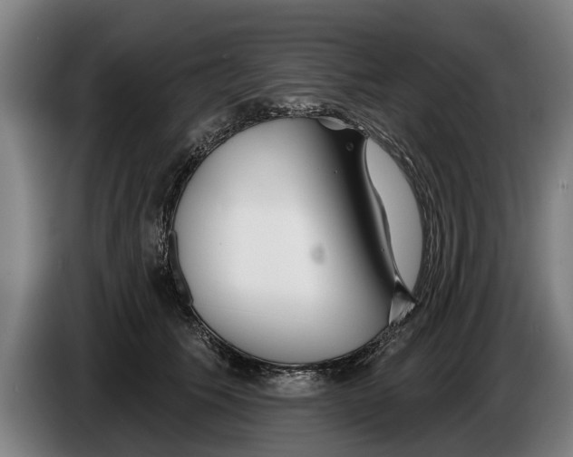 X0000086320609200704202023