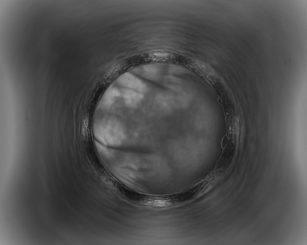 X0000086320610200704202023