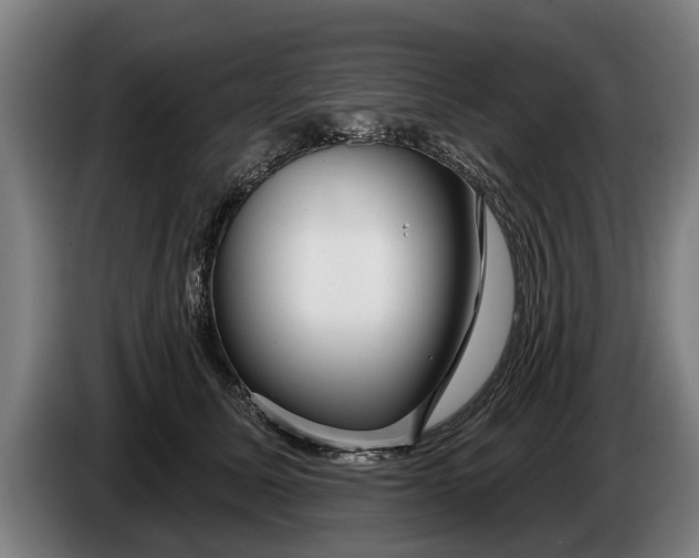 X0000086320611200704202023