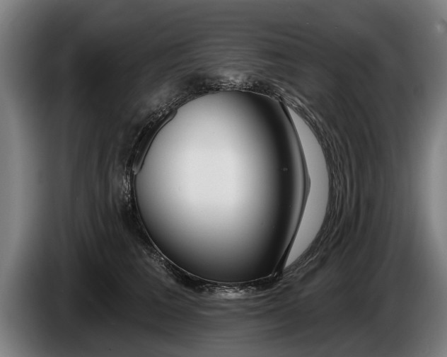 X0000086320613200704202023