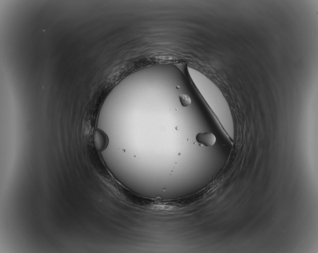 X0000086320614200704202023