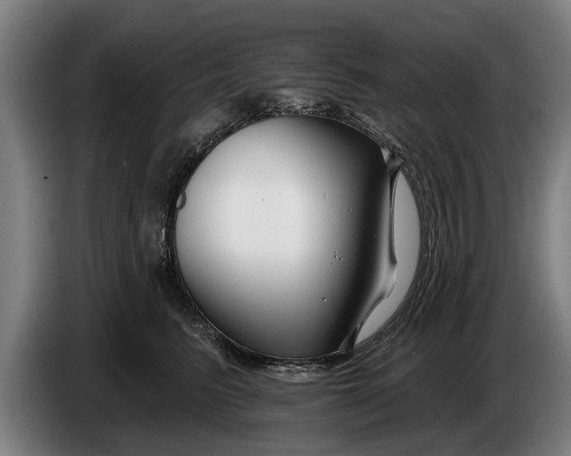 X0000086320615200704202023