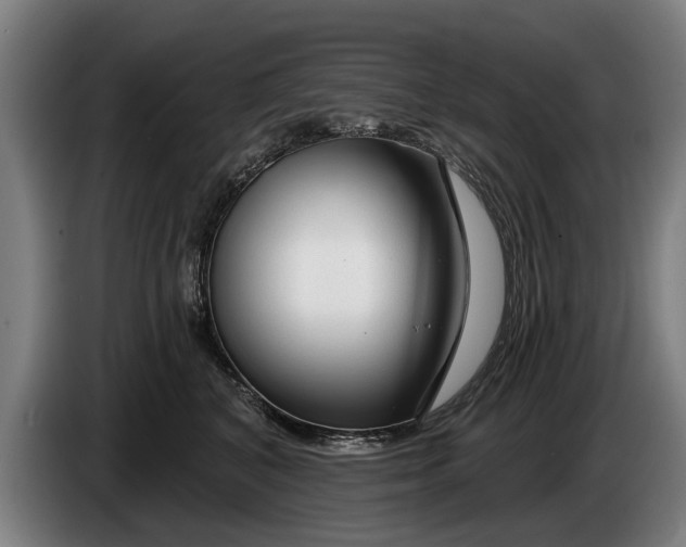 X0000086320616200704202023