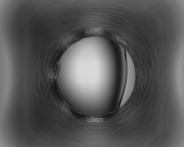 X0000086320617200704202023