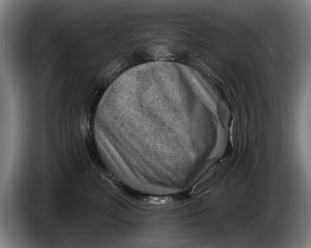 X0000086320618200704202023