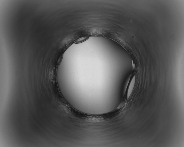 X0000086320619200704202023