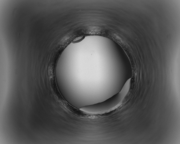 X0000086320620200704202023